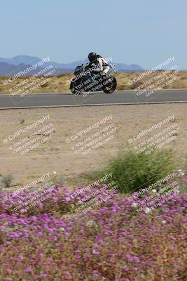 media/Mar-12-2023-SoCal Trackdays (Sun) [[d4c8249724]]/Turn 15 Inside Bloom (130pm)/